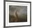 The Kangaroo from New Holland-George Stubbs-Framed Premium Giclee Print