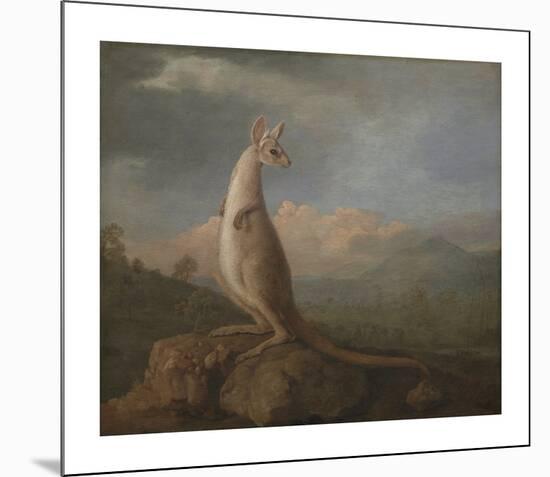 The Kangaroo from New Holland-George Stubbs-Mounted Premium Giclee Print