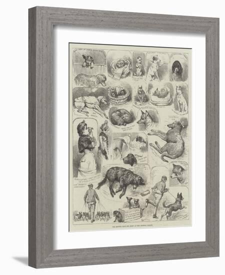 The Kennel Club Dog Show at the Crystal Palace-Alfred Courbould-Framed Giclee Print