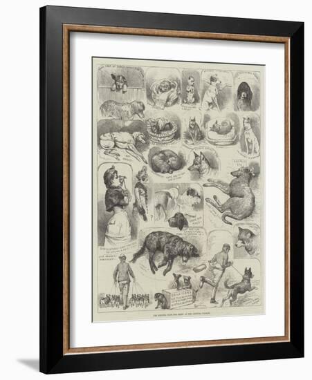 The Kennel Club Dog Show at the Crystal Palace-Alfred Courbould-Framed Giclee Print