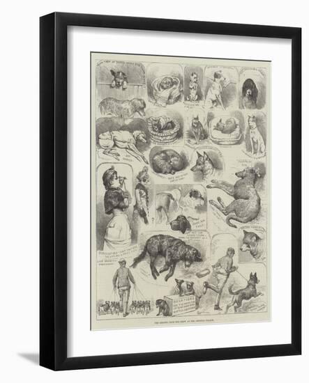 The Kennel Club Dog Show at the Crystal Palace-Alfred Courbould-Framed Giclee Print