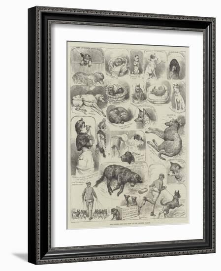 The Kennel Club Dog Show at the Crystal Palace-Alfred Courbould-Framed Giclee Print