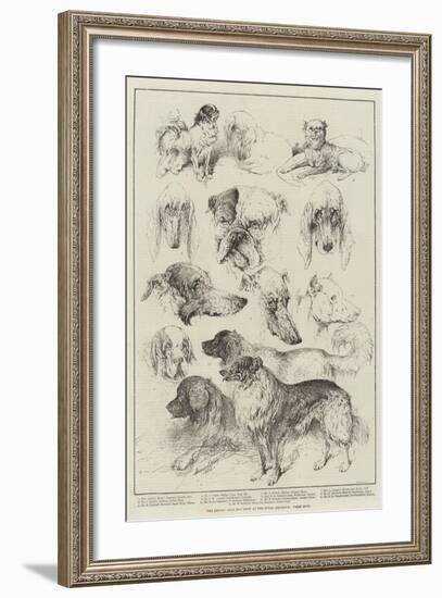 The Kennel Club Dog Show at the Royal Aquarium, Prize Dogs-Harrison William Weir-Framed Giclee Print