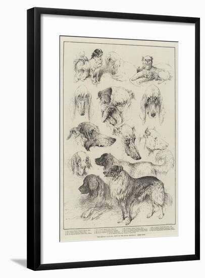 The Kennel Club Dog Show at the Royal Aquarium, Prize Dogs-Harrison William Weir-Framed Giclee Print