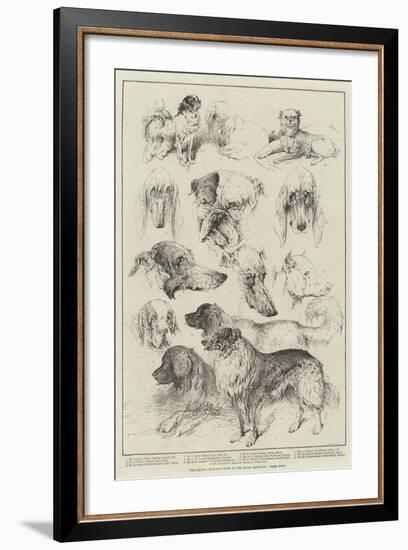 The Kennel Club Dog Show at the Royal Aquarium, Prize Dogs-Harrison William Weir-Framed Giclee Print