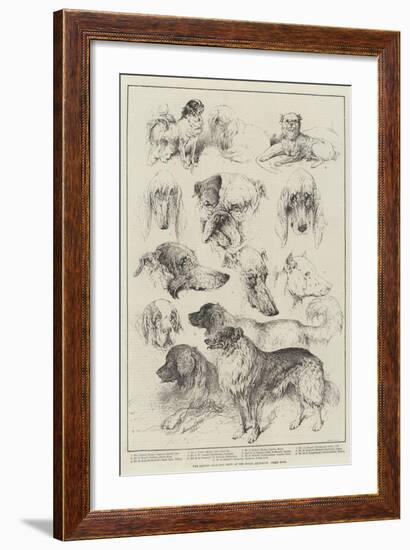 The Kennel Club Dog Show at the Royal Aquarium, Prize Dogs-Harrison William Weir-Framed Giclee Print