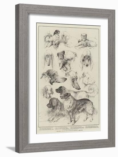 The Kennel Club Dog Show at the Royal Aquarium, Prize Dogs-Harrison William Weir-Framed Giclee Print