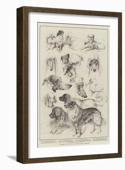 The Kennel Club Dog Show at the Royal Aquarium, Prize Dogs-Harrison William Weir-Framed Giclee Print