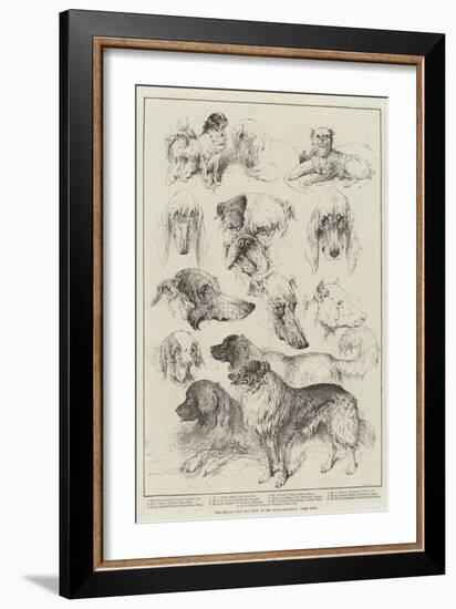 The Kennel Club Dog Show at the Royal Aquarium, Prize Dogs-Harrison William Weir-Framed Giclee Print