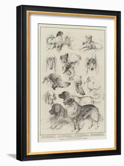 The Kennel Club Dog Show at the Royal Aquarium, Prize Dogs-Harrison William Weir-Framed Giclee Print