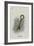 The Key-John Tenniel-Framed Giclee Print