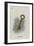 The Key-John Tenniel-Framed Giclee Print