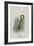 The Key-John Tenniel-Framed Giclee Print