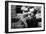 The Kid, Jackie Coogan, Charles Chaplin, 1921-null-Framed Premium Photographic Print