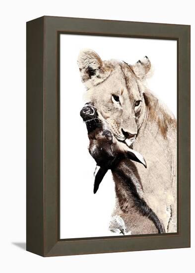 The Kill. A Lioness with a Blue Wildebeest Calf, Serengeti National Park, East Africa-James Hager-Framed Premier Image Canvas