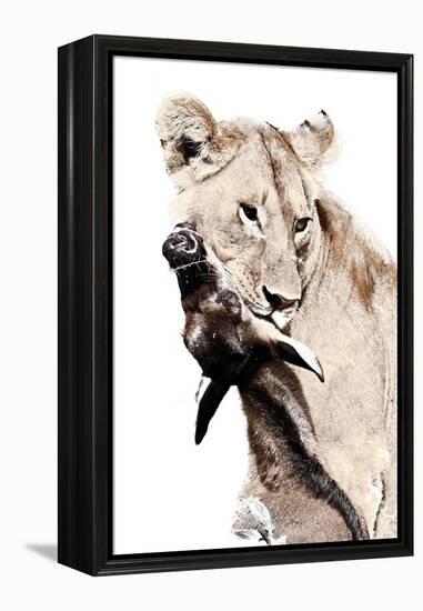 The Kill. A Lioness with a Blue Wildebeest Calf, Serengeti National Park, East Africa-James Hager-Framed Premier Image Canvas