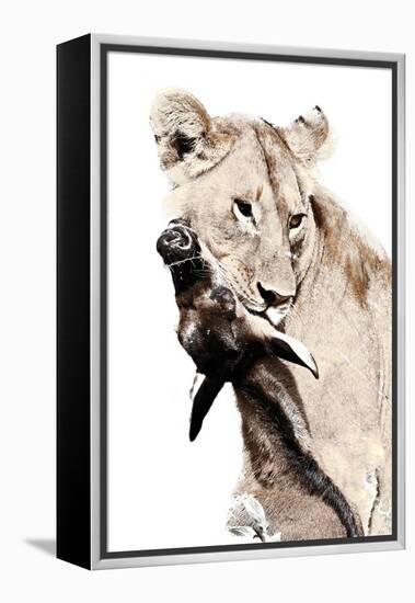 The Kill. A Lioness with a Blue Wildebeest Calf, Serengeti National Park, East Africa-James Hager-Framed Premier Image Canvas