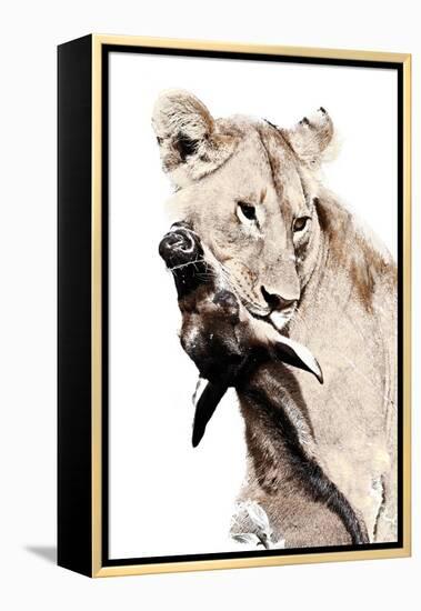 The Kill. A Lioness with a Blue Wildebeest Calf, Serengeti National Park, East Africa-James Hager-Framed Premier Image Canvas