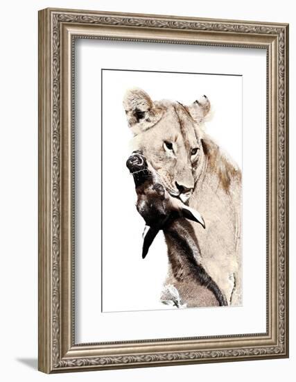 The Kill. A Lioness with a Blue Wildebeest Calf, Serengeti National Park, East Africa-James Hager-Framed Photographic Print