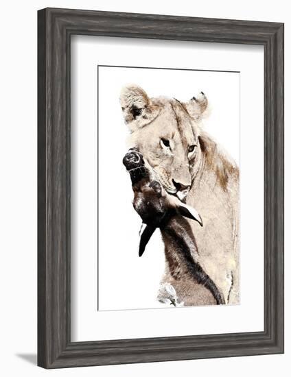 The Kill. A Lioness with a Blue Wildebeest Calf, Serengeti National Park, East Africa-James Hager-Framed Photographic Print