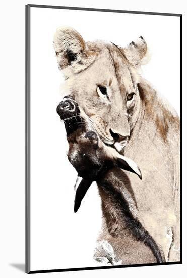 The Kill. A Lioness with a Blue Wildebeest Calf, Serengeti National Park, East Africa-James Hager-Mounted Photographic Print