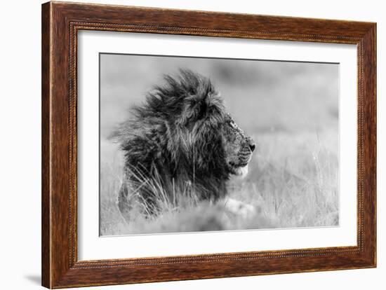 The king is alone-Massimo Mei-Framed Art Print