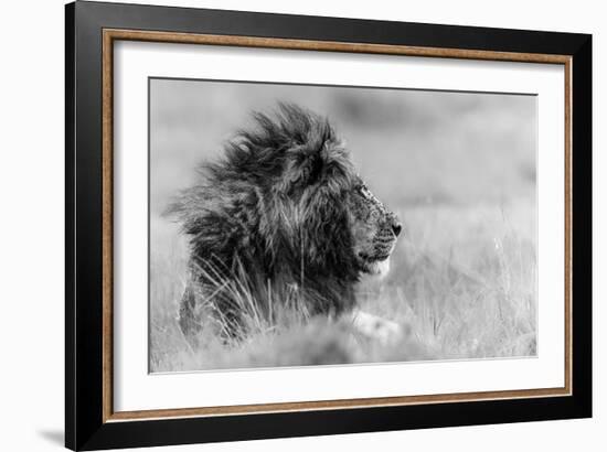 The king is alone-Massimo Mei-Framed Art Print