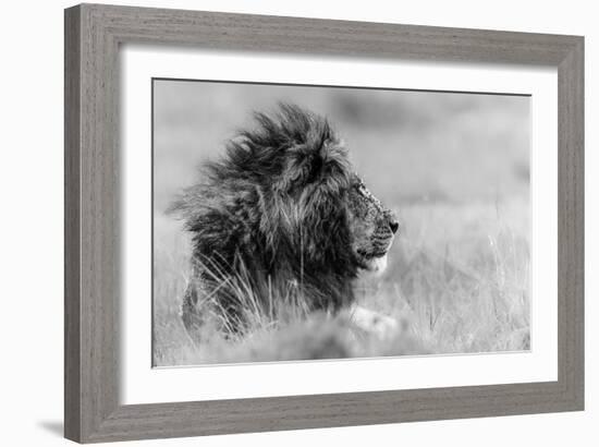 The king is alone-Massimo Mei-Framed Art Print