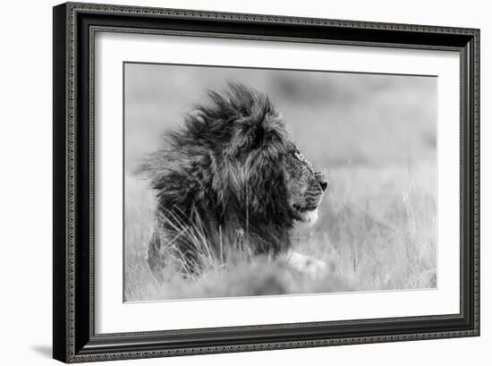 The king is alone-Massimo Mei-Framed Art Print