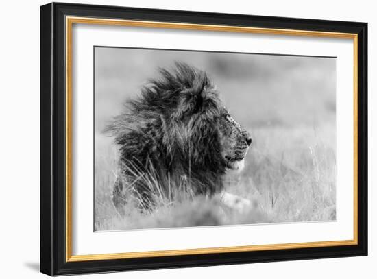 The king is alone-Massimo Mei-Framed Art Print