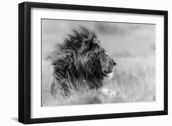 The king is alone-Massimo Mei-Framed Art Print