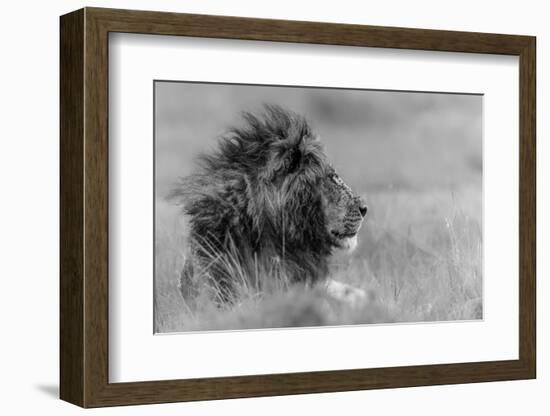 The King Is Alone-Massimo Mei-Framed Photographic Print