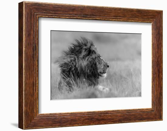 The King Is Alone-Massimo Mei-Framed Photographic Print