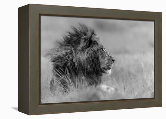 The King Is Alone-Massimo Mei-Framed Premier Image Canvas