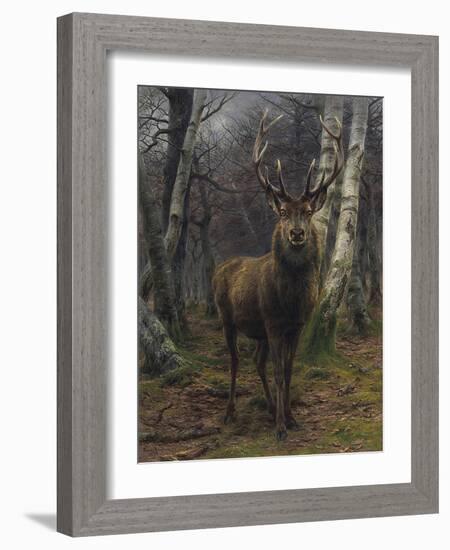 The King of the Forest-Rosa Bonheur-Framed Giclee Print