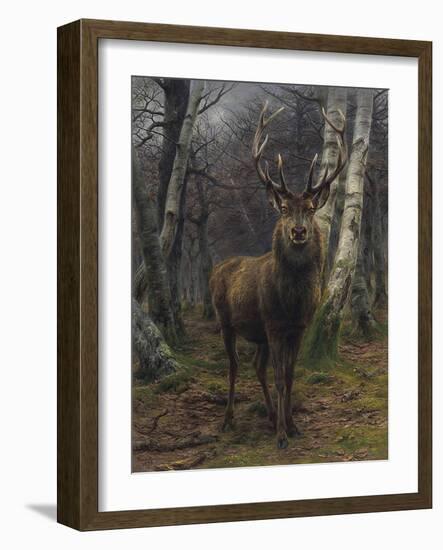 The King of the Forest-Rosa Bonheur-Framed Giclee Print