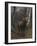 The King of the Forest-Rosa Bonheur-Framed Giclee Print