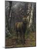 The King of the Forest-Rosa Bonheur-Mounted Giclee Print