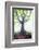 The king of the trees-Philippe Manguin-Framed Photographic Print