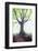 The king of the trees-Philippe Manguin-Framed Photographic Print