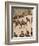 'The King's Personal Aides-De-Camp', May 12 1937-Unknown-Framed Photographic Print