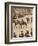 'The King's Personal Aides-De-Camp', May 12 1937-Unknown-Framed Photographic Print