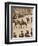 'The King's Personal Aides-De-Camp', May 12 1937-Unknown-Framed Photographic Print