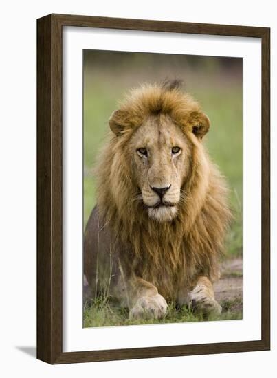 The King-Susann Parker-Framed Photographic Print