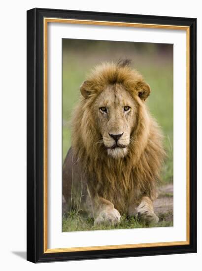 The King-Susann Parker-Framed Photographic Print