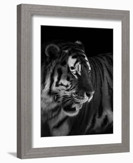 The King-Alex Zhao-Framed Giclee Print