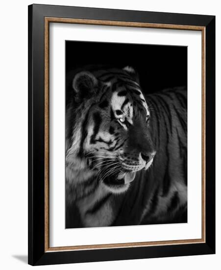 The King-Alex Zhao-Framed Giclee Print