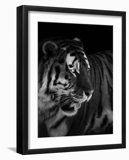 The King-Alex Zhao-Framed Giclee Print