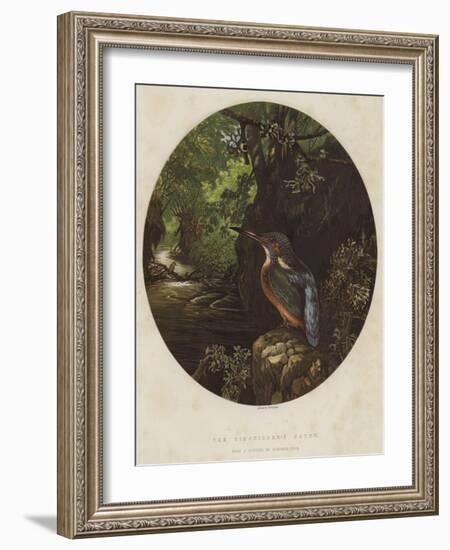 The Kingfisher's Haunt-Harrison William Weir-Framed Giclee Print