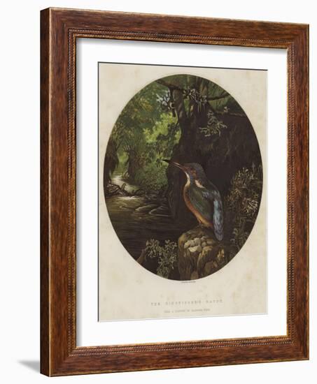 The Kingfisher's Haunt-Harrison William Weir-Framed Giclee Print